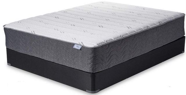 Jamison Bedding Veridian Black Sunridge Place Wrapped Coil Firm Tight ...