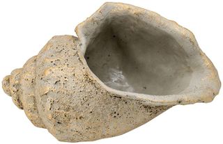 A & B Home Beige Large Cement Seashell Planter