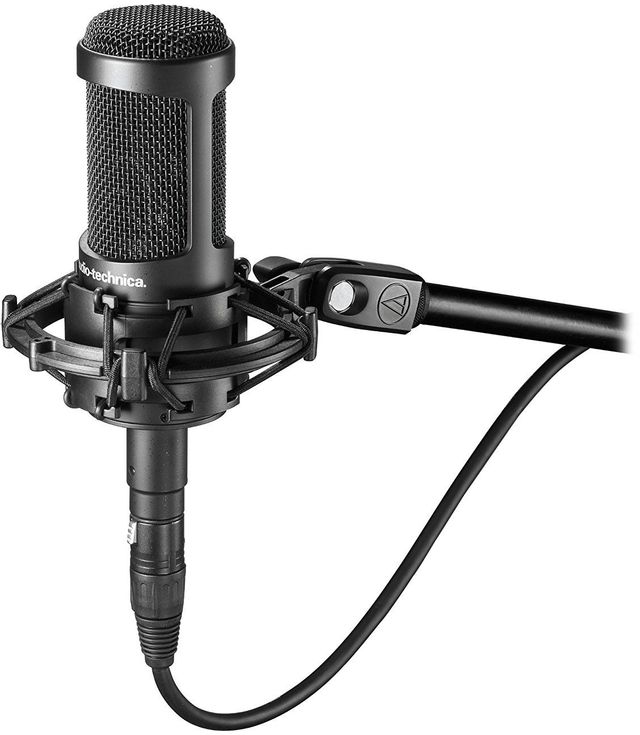 Audio-Technica® AT2050 Multi-Pattern Condenser Microphone 1
