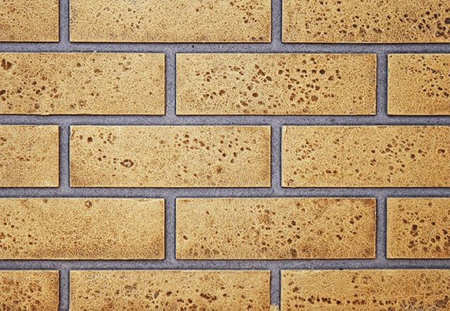 Napoleon Sandstone Standard Decorative Brick Panels