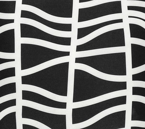 Renwil® Fieldfare Black & White 22" x 22" Outdoor Pillow 1