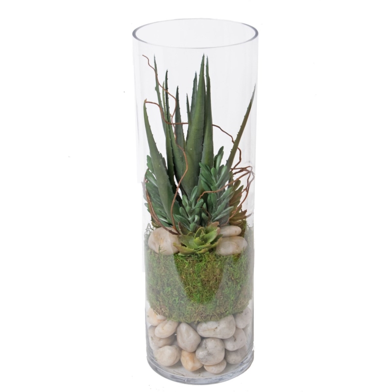 Foster's Point Aloe and Vines in Glass Vase