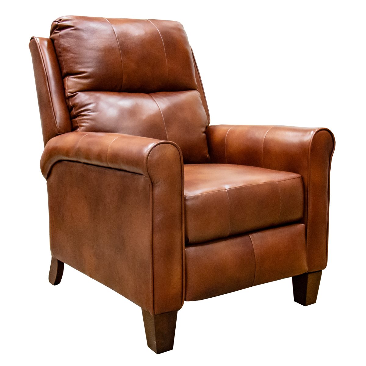 Southern Motion Pep Talk Leather Push Back Recliner