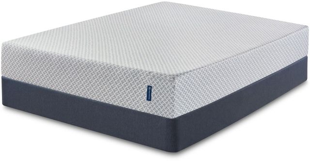 Serta® Sheep Retreat™ Gel Memory Foam Medium Tight Top Queen Mattress in Box 4