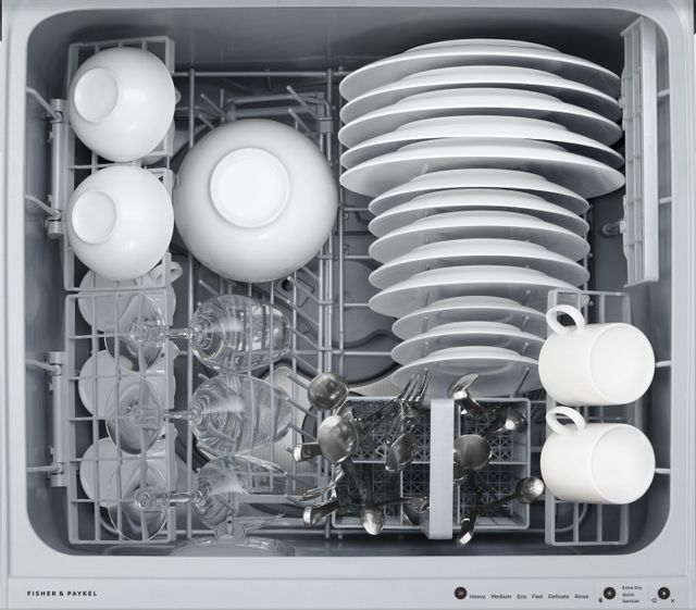 Fisher & Paykel Series 9 24" Panel Ready Single DishDrawer™ Dishwasher 1