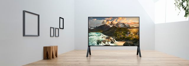 Sony® Z9D Series 100" 4K Ultra HD TV with HDR 9