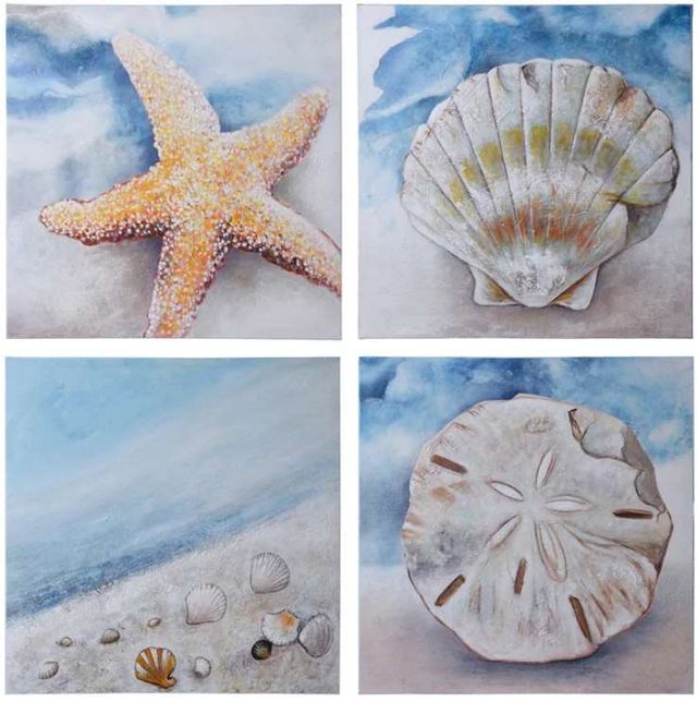 Coastal Wall Art Starfish Sand Dollar Clam Shell Set of 3 Ocean