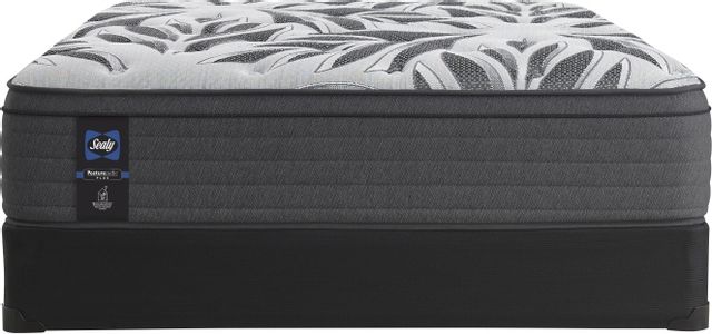 Sealy® RMHC Canada 4 Wrapped Coil Plush Euro Top Queen Mattress 31