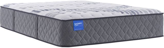 Sealy® Carrington Chase Stoneleigh Wrapped Coil Plush Tight Top Full Mattress
