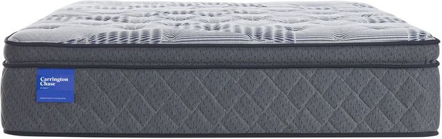 Carrington Chase by Sealy® Prestwick Wrapped Coil Plush Twin Mattress-1