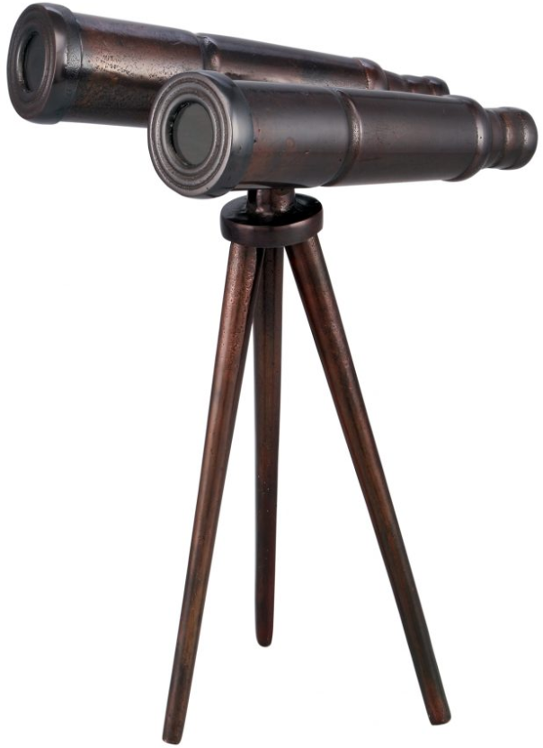 Moe's Home Collections Bronze Binoculars 2
