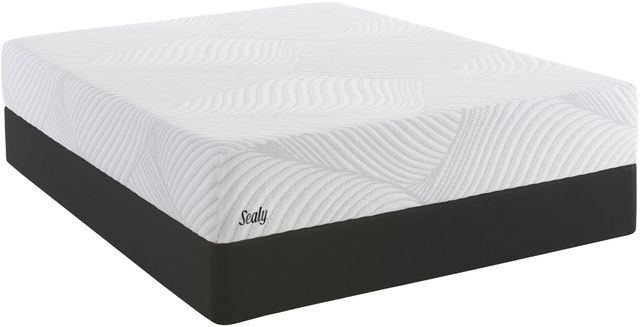 Sealy® Conform™ Essential™ Treat N3 Gel Memory Foam Cushion Firm Queen Mattress 15