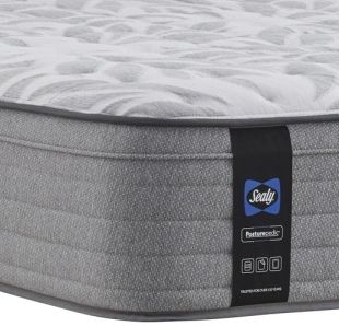 Sealy® Essentials™ Spring Silver Pine Innerspring Firm Faux Euro Top King Mattress 0