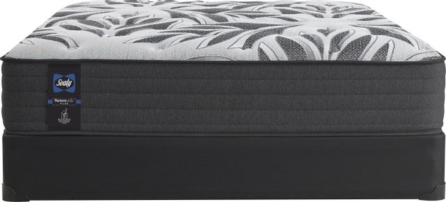Sealy® RMHC Canada 3 Wrapped Coil Plush Tight Top Queen Mattress 3