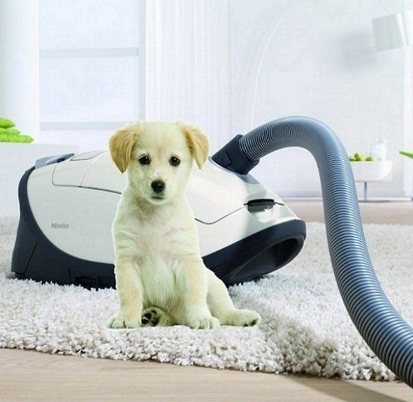 Miele Complete C3 Cat & Dog Lotus White Canister Vacuum-2