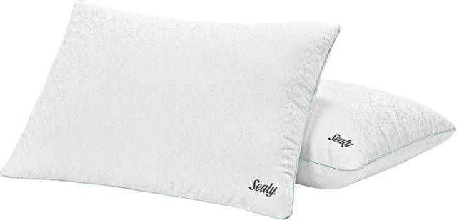 Sealy® Performance Dual-Comfort Standard Pillow 2