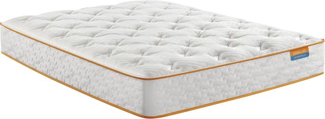 Simmons® Comfort Vibezzz Wrapped Coil Plush Tight Top Twin Mattress