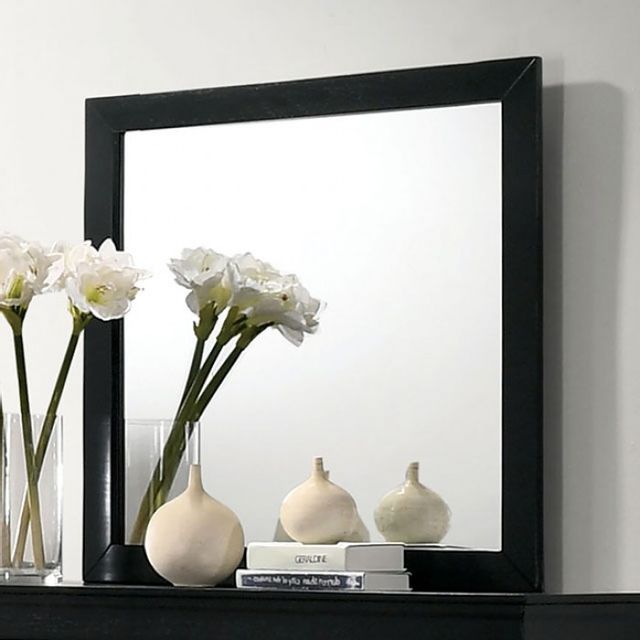 Furniture of America® Louis Philippe Black Mirror