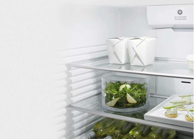 Réfrigérateur à congélateur inférieur à profondeur de comptoir de 24 po Fisher Paykel® de 13,4 pi³ - Acier inoxydable 10