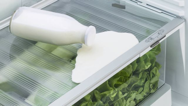 Réfrigérateur à portes françaises à profondeur de comptoir de 36 po Fisher Paykel® de 20,1 pi³ - Blanc 2