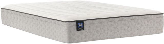 Sealy® Essentials™ Spring Deaton II Innerspring Soft Faux Euro Top Queen Mattress