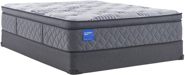 Carrington Chase by Sealy® Prestwick Wrapped Coil Plush Twin Mattress 4