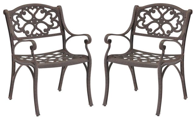 homestyles® Sanibel 2-Piece Brown Outdoor Chair-0