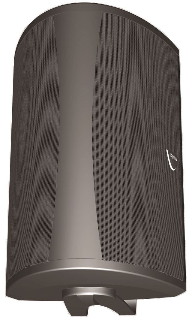 Definitive Technology® AW5500 Black All-Weather Loudspeaker 15