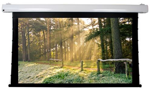 SnapAV Dragonfly™ Motorized Tab Tension 120" High Contrast Projection Screen