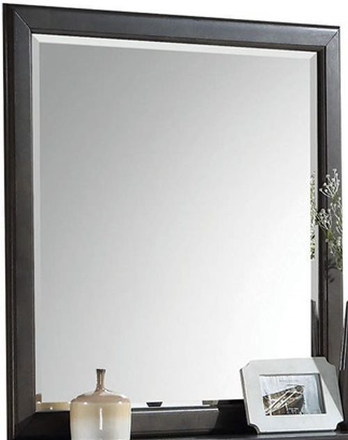 ACME Furniture Louis Philippe Gray Mirror