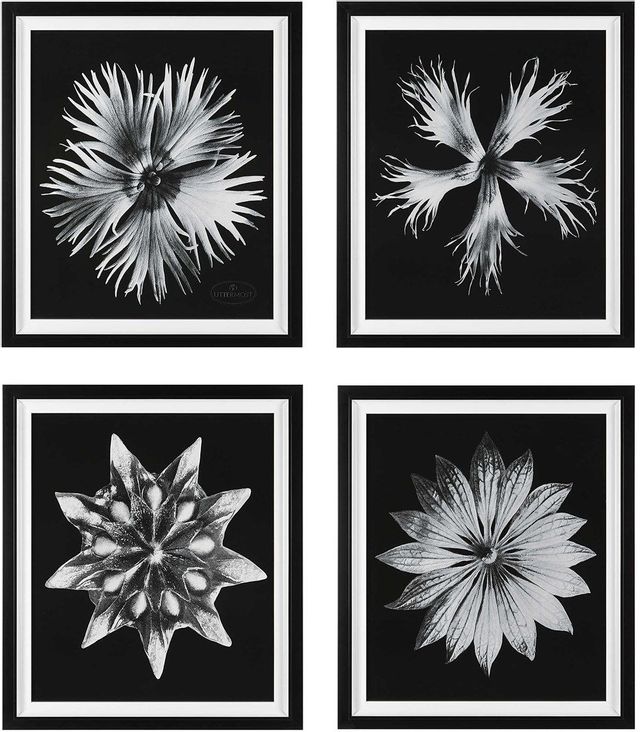 Uttermost Contemporary Floret 4 Piece Black/White Framed Prints Set