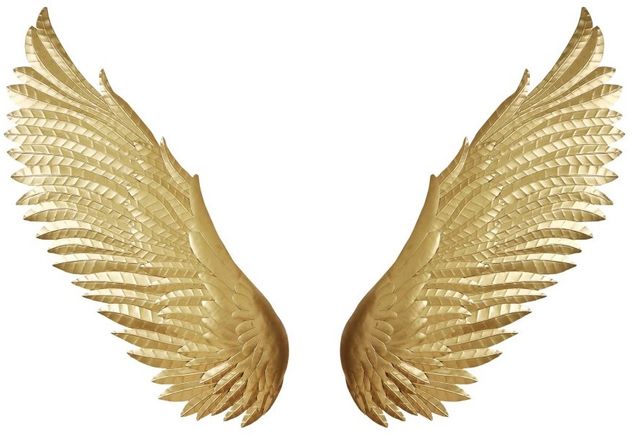 Moe's Home Collection Wings Gold Wall Decor
