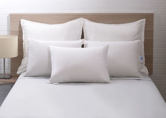 Concept ZZZ White Queen  600 FP Duck Down Pillow 5