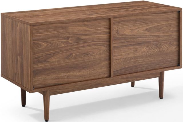 Liam Large Record Storage Console Cabinet - Shop Liam