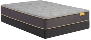 Simmons® Deep Sleep™ Wrapped Coil Plush Tight Top Twin Mattress in a Box