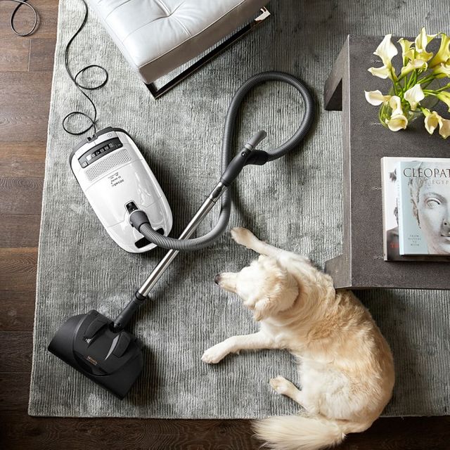 Miele Vacuum Complete C3 Cat & Dog Lotus White Canister Vacuum-3