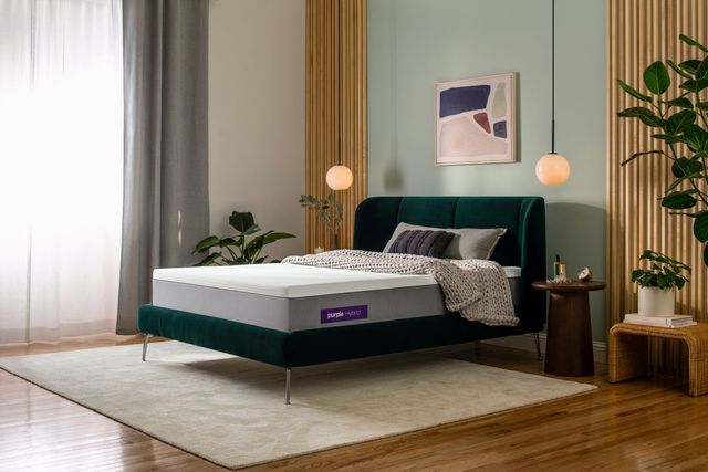 side view of a modern bedroom with a purple mattress, emerald green bed frame, and a light blue wall 
