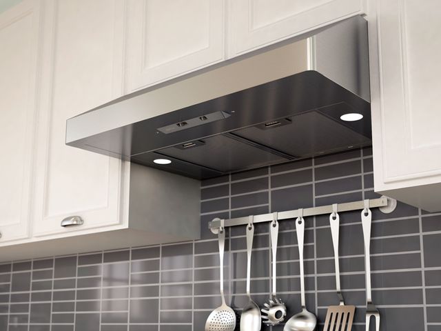 Zephyr Core Collection Gust Series 36" Stainless Steel Under Cabinet Range Hood 2