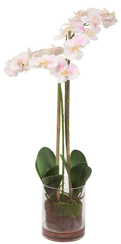 Uttermost® Blush Green/Pink/White Orchid