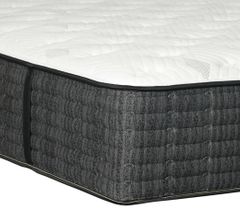 SleepFit™ Premiere Embassy 2.5 Traditional Pocketed Coil Plush Twin Mattress