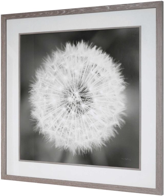 Uttermost® Dandelion Seedhead Black/White Framed Print-2