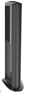 GoldenEar Technology® Triton One.R Tower Speaker 1