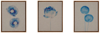 Olliix by Madison Park Blue Print Botanicals 3 Piece Blue Framed Printed Canvas On Linen Set