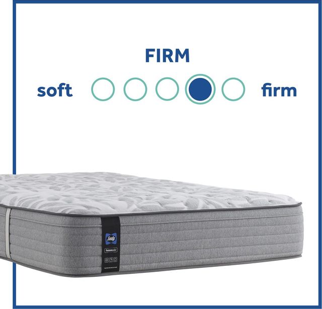 Sealy® Essentials™ Spring Silver Pine Innerspring Firm Faux Euro Top Queen Mattress 5