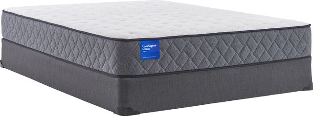 Sealy® Carrington Chase Excellence Gold Firm Queen Mattress 4
