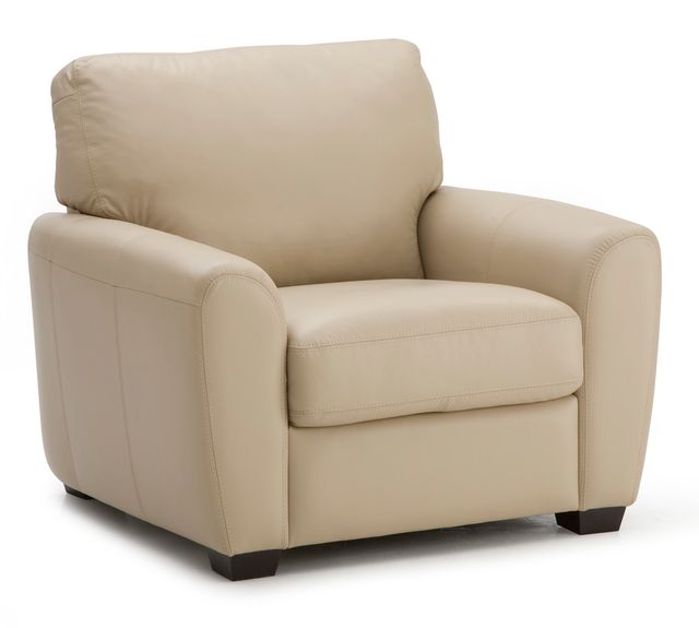 Palliser® Furniture Connecticut Chair 1