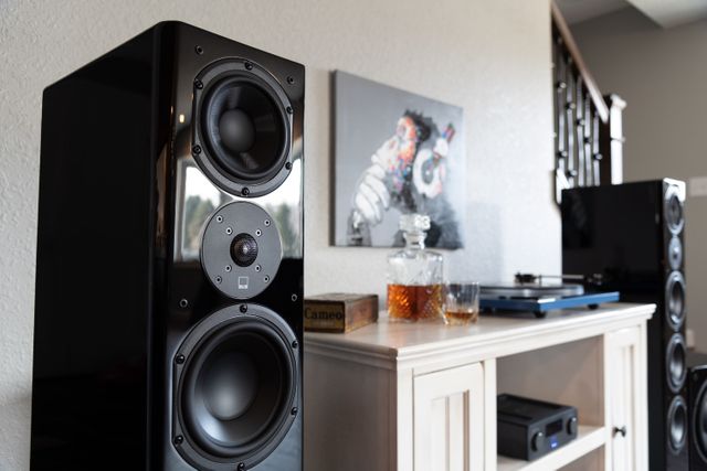 SVS Prime Pinnacle Premium Black Ash 6.5" Floor Standing Speaker 9