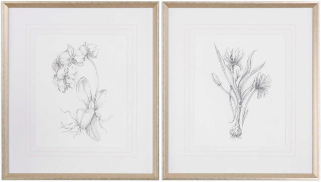 Uttermost® Botanical Sketches 2-Piece White Framed Prints-0