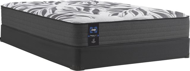 Sealy® RMHC Canada 3 Wrapped Coil Plush Tight Top Queen Mattress 0