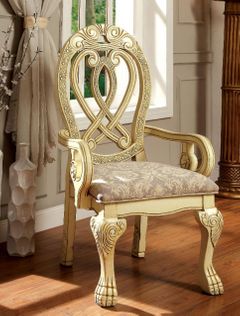 Furniture of America® Wyndmere 2-Piece Dining Room Chair Set